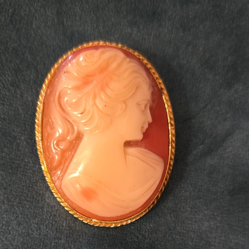 Vintage Cameo Brooch with Gold Accent